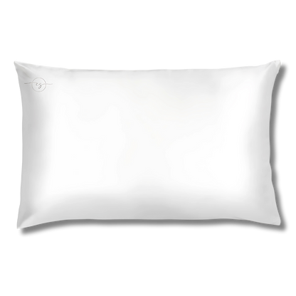 Elegant Pure Silk Pillowcase - Queen Size 20 x 30 Free Trial